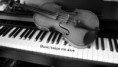 /album/fotogaleria-blog/violin-and-piano-by-flordispina-d35bumq-jpg/